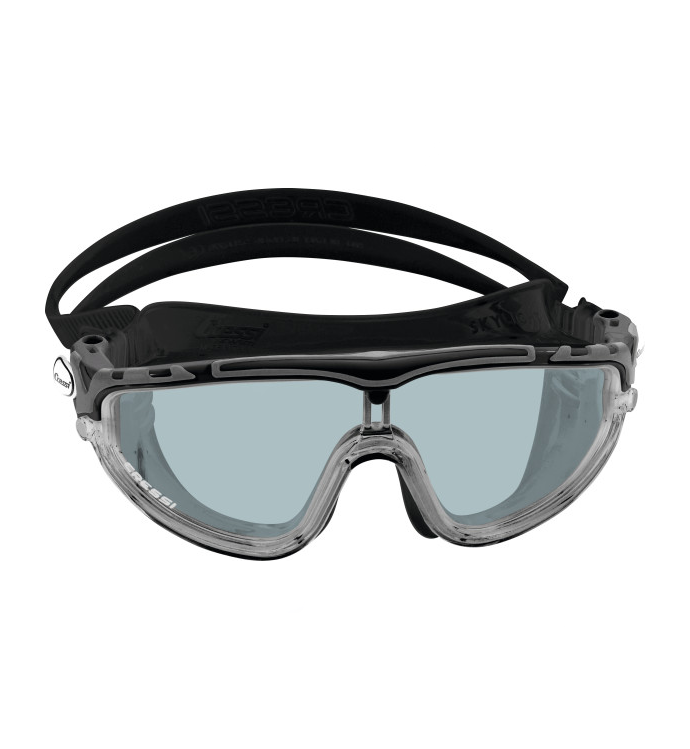 Skylight Goggles Black/Frame Black Smoked Lens