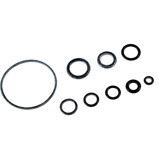 [IZ750080] Kit O-Ring Inflator