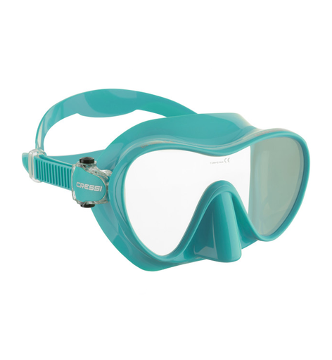 [ZDN281025] F1 Mask Sil Turquoise